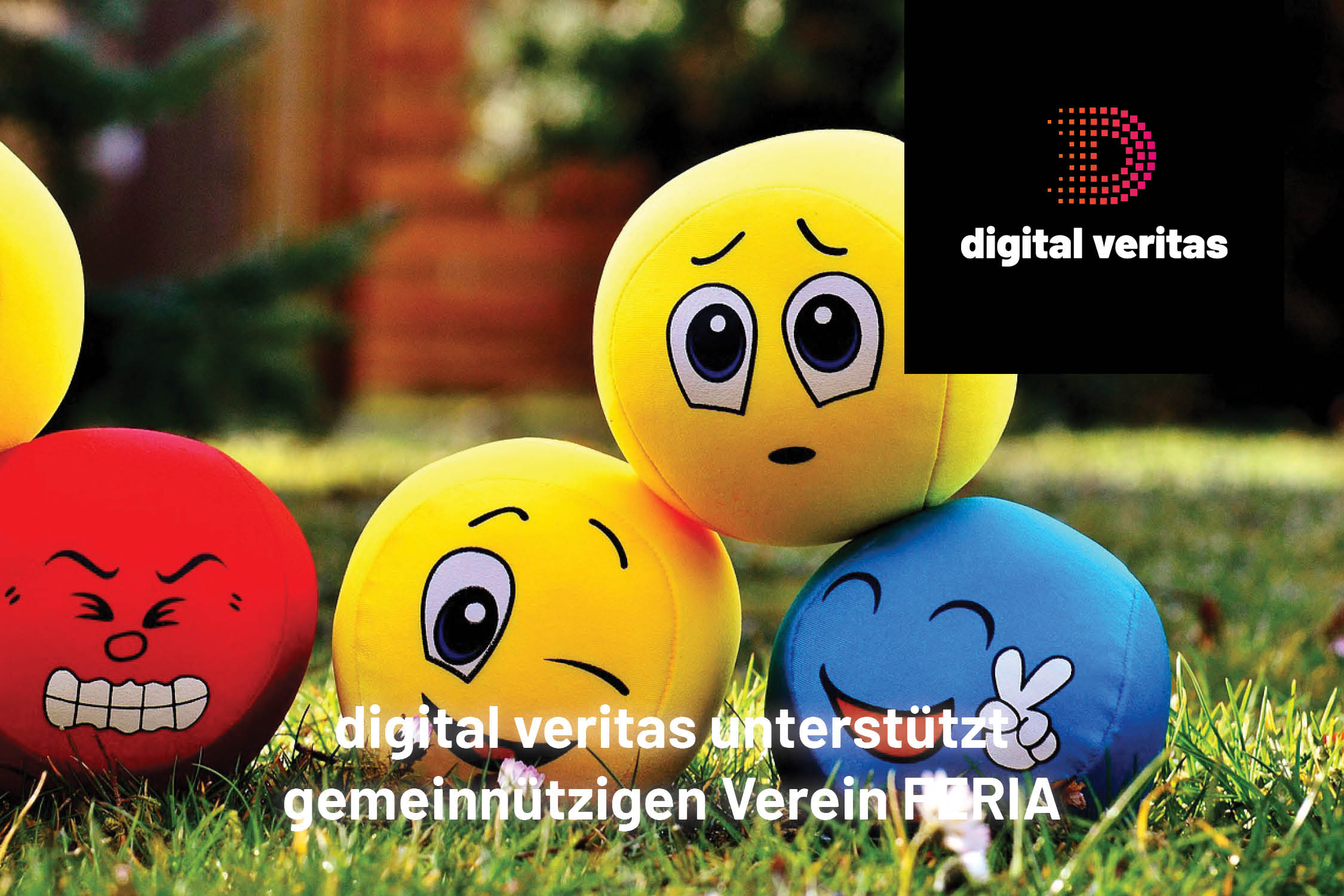#charity #digitalveritas #onlinemarketing